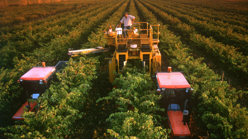 O impacto estratégico do Plano Safra para produtores e para o futuro do agro, segundo Aldo Vendramin.
