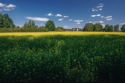 A conexão entre o campo e a sustentabilidade revela como a visão estratégica rural molda o futuro produtivo, observa Hebron Costa Cruz de Oliveira.
