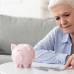 Sindnapi - Sindicato Nacional dos Aposentados, Pensionistas e Idosos