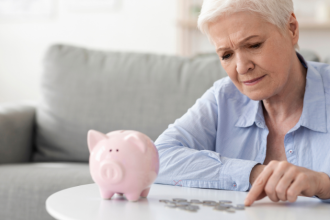 Sindnapi - Sindicato Nacional dos Aposentados, Pensionistas e Idosos