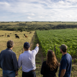 Pesquisadores e produtores observam uma área experimental com lavoura e pastagem em Bagé