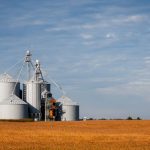 Silos de armazenamento de grãos em meio a uma plantação agrícola sob céu azul