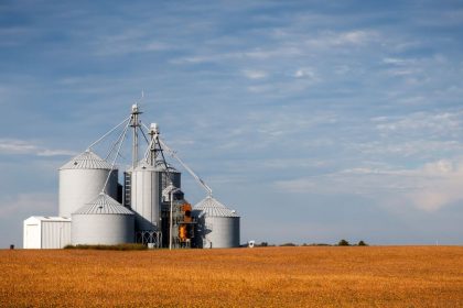 Silos de armazenamento de grãos em meio a uma plantação agrícola sob céu azul