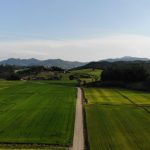 Vista aérea de campos agrícolas e uma estrada de terra em Massaranduba, Santa Catarina.