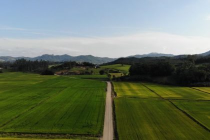 Vista aérea de campos agrícolas e uma estrada de terra em Massaranduba, Santa Catarina.