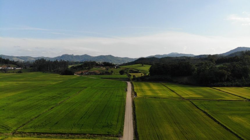 Vista aérea de campos agrícolas e uma estrada de terra em Massaranduba, Santa Catarina.